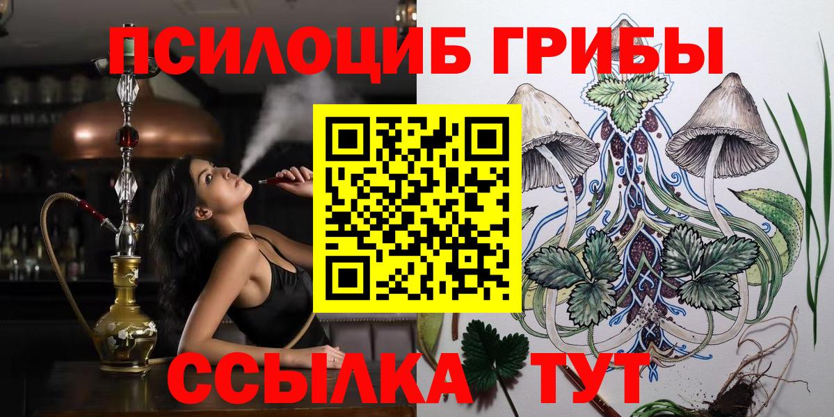 Томск  Галлюциногенные грибы ЛСД  Вход с VPN 